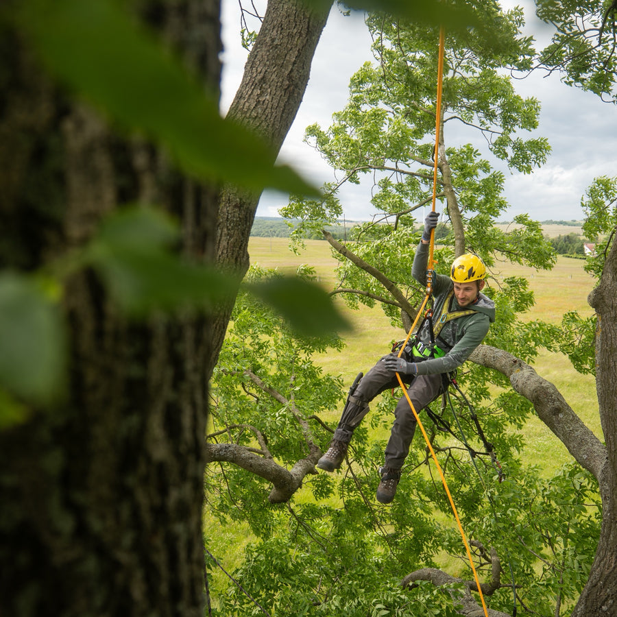 Arboristické lano Timber EVO 12.5 oranžová/žlutá