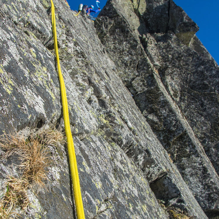 Lano Tendon Lowe 8.4 žlutá